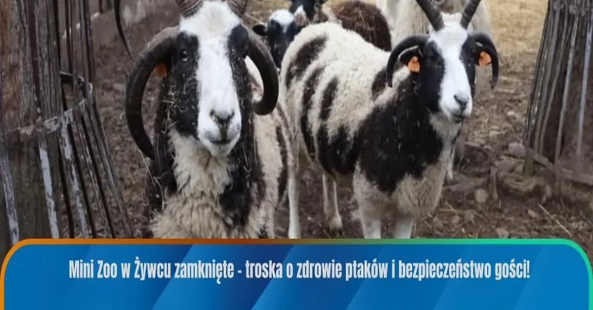 Gry planszowe – jak zacząć i czerpać z nich realne korzyści